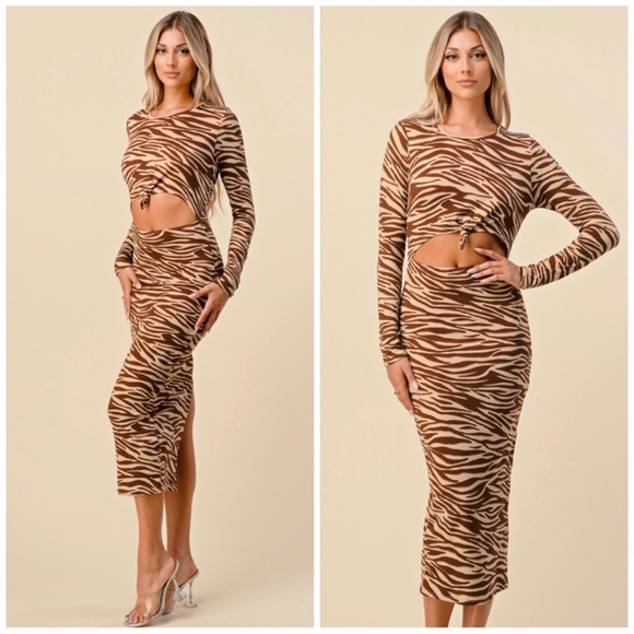 Dresses & Skirts - Brown Zebra Print Maxi Dress